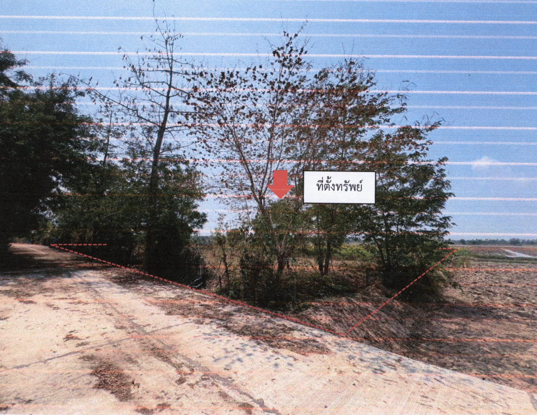 รูปที่ดินว่างเปล่า นาหนองไผ่ ชุมพลบุรี สุรินทร์