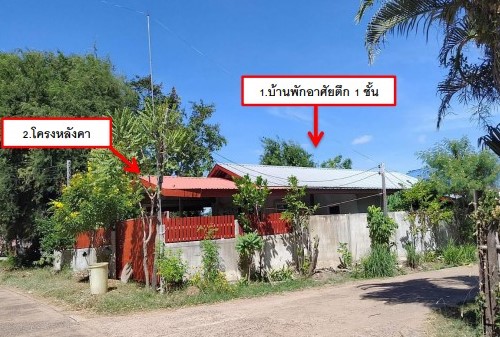 รูปที่ดินพร้อมสิ่งปลูกสร้าง โคกนาโก ป่าติ้ว ยโสธร
