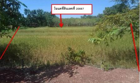 รูปที่ดินว่างเปล่า นาหนัง โพนพิสัย หนองคาย