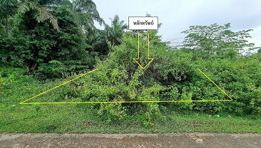 รูปที่ดินว่างเปล่า นาท่ามเหนือ เมืองตรัง ตรัง