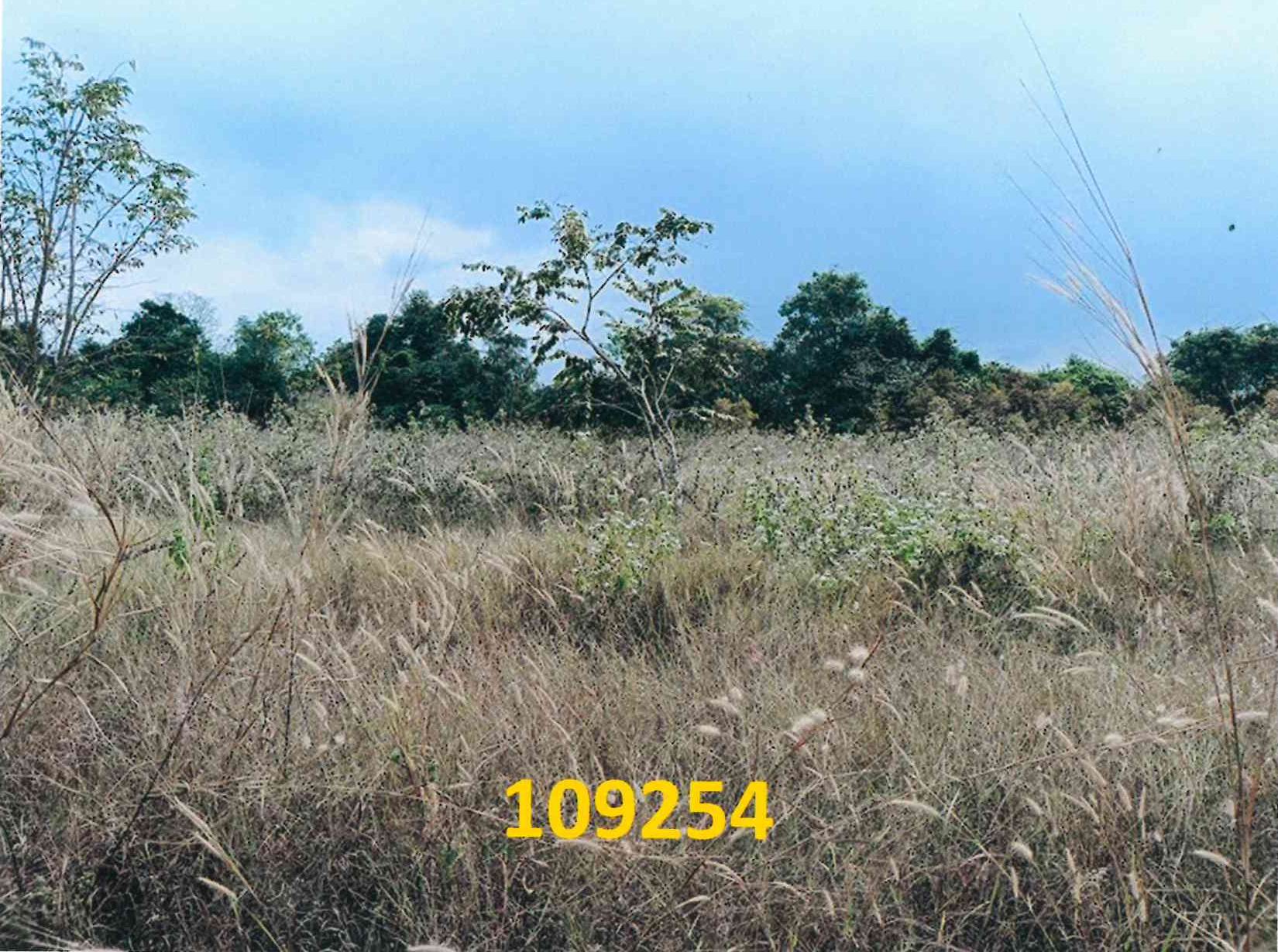 รูปที่ดินว่างเปล่า โป่ง บางละมุง ชลบุรี