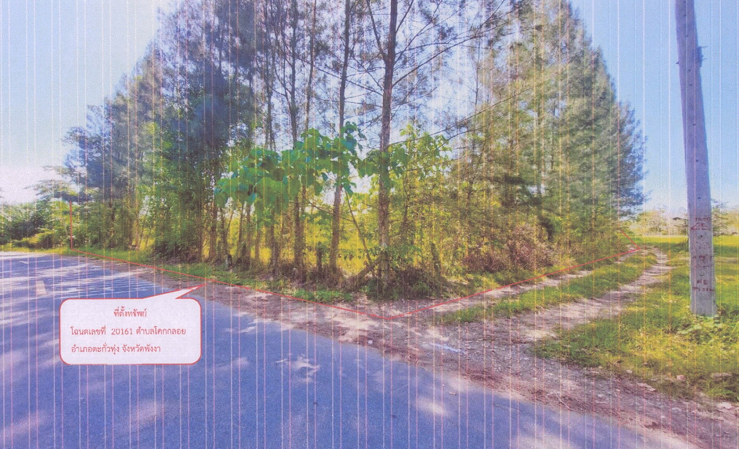 รูปที่ดินว่างเปล่า โคกกลอย ตะกั่วทุ่ง พังงา