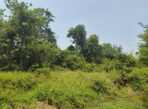 รูปที่ดินว่างเปล่า ท่าขมิ้น โพทะเล พิจิตร