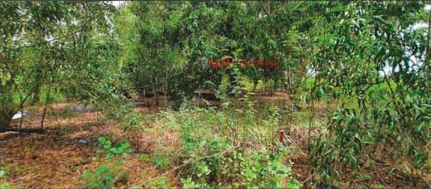 รูปที่ดินว่างเปล่า บางปลากด องครักษ์ นครนายก