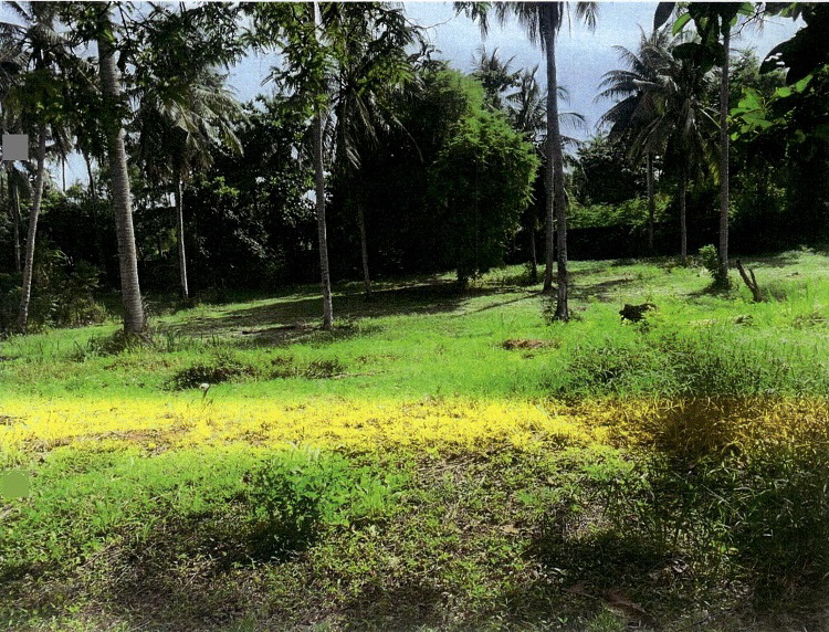 รูปที่ดินว่างเปล่า แม่รำพึง บางสะพาน ประจวบคีรีขันธ์