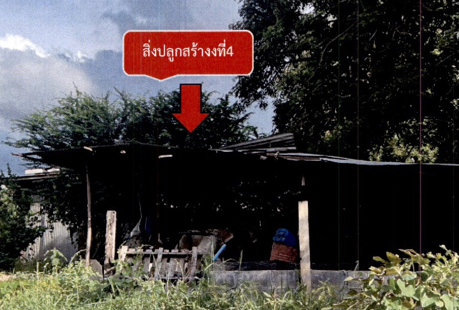 รูปที่ดินพร้อมสิ่งปลูกสร้าง ชุมพวง ชุมพวง นครราชสีมา