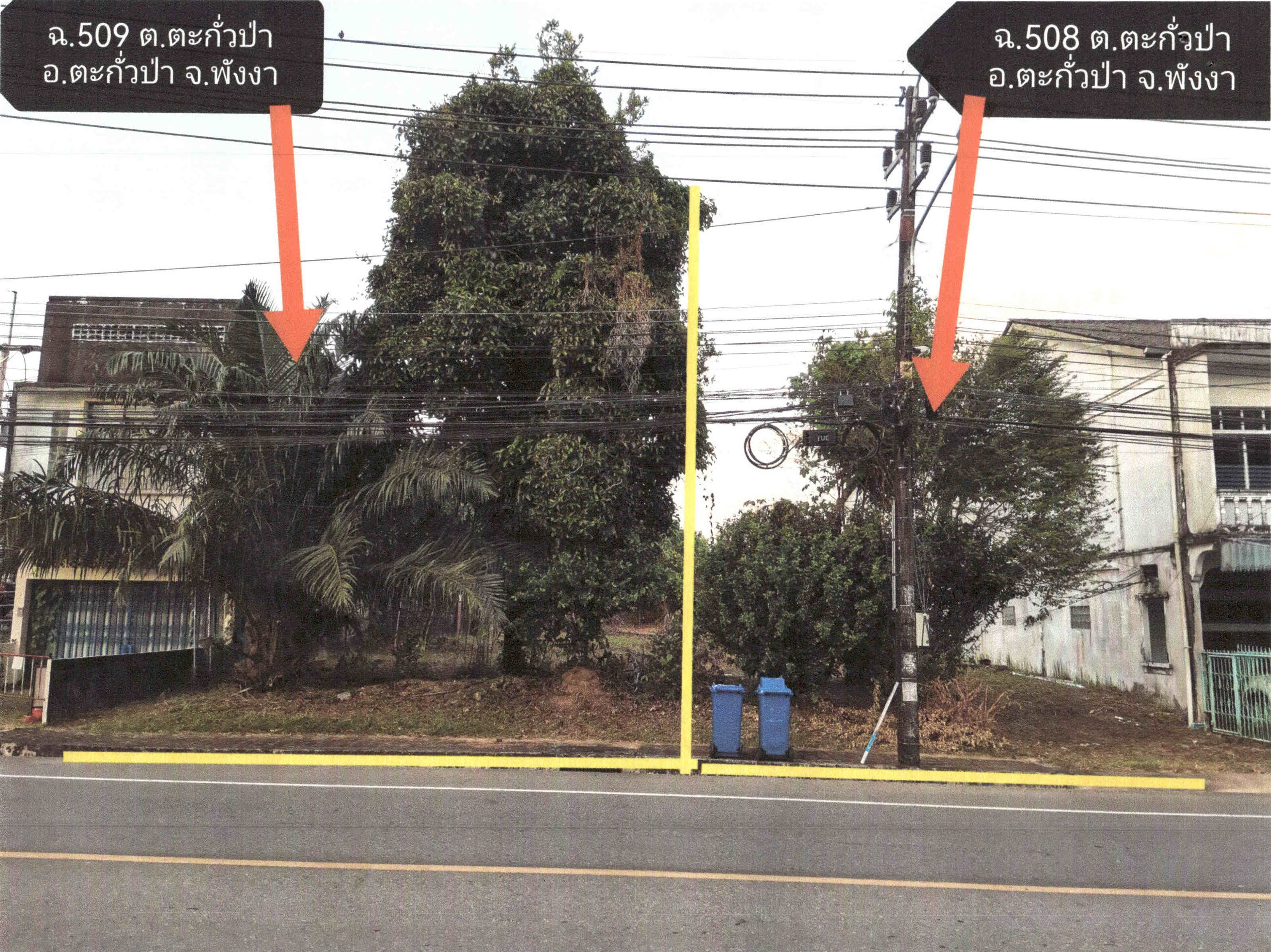 รูปที่ดินว่างเปล่า ตะกั่วป่า ตะกั่วป่า พังงา
