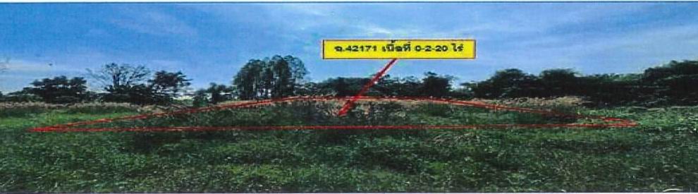 รูปที่ดินว่างเปล่า หนองเรือ หนองเรือ ขอนแก่น