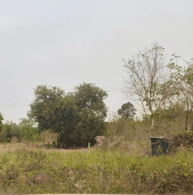 รูปที่ดินว่างเปล่า ท่าขมิ้น โพทะเล พิจิตร