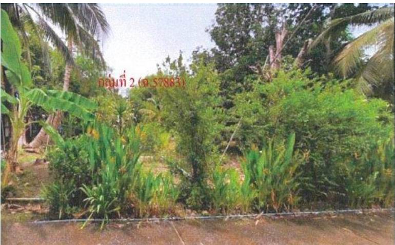 รูปที่ดินว่างเปล่า บางปลากด องครักษ์ นครนายก
