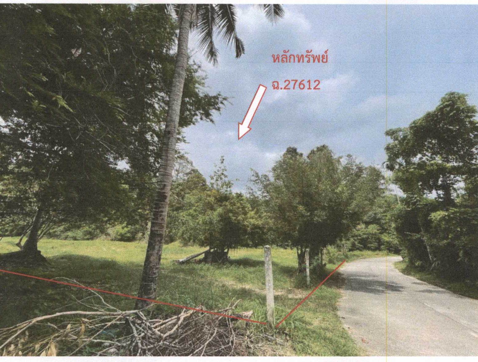 รูปที่ดินว่างเปล่า อ่างทอง เกาะสมุย สุราษฎร์ธานี