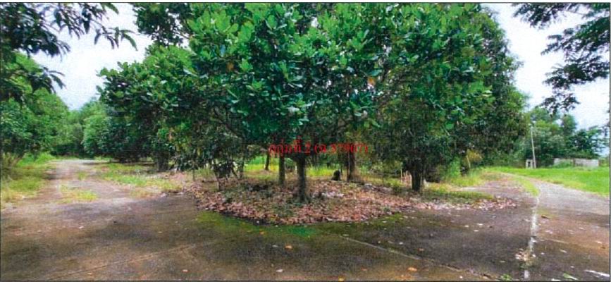 รูปที่ดินว่างเปล่า บางปลากด องครักษ์ นครนายก