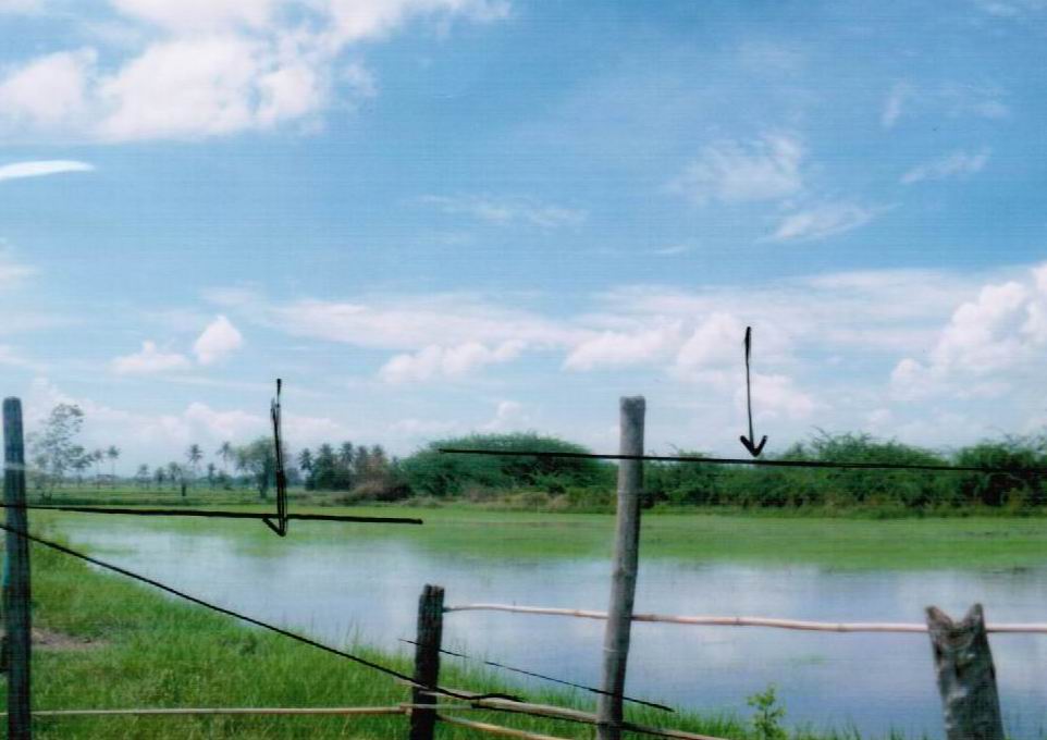 รูปที่ดินว่างเปล่า หาดเจ้าสำราญ เมืองเพชรบุรี เพชรบุรี