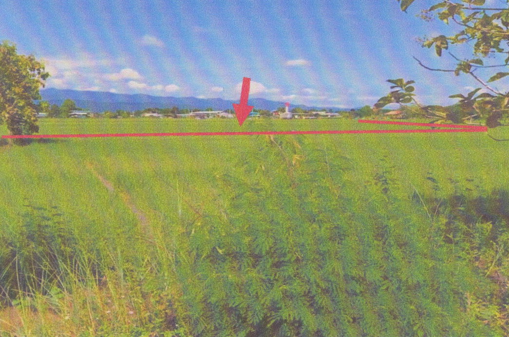 รูปที่ดินว่างเปล่า เมืองพาน พาน เชียงราย