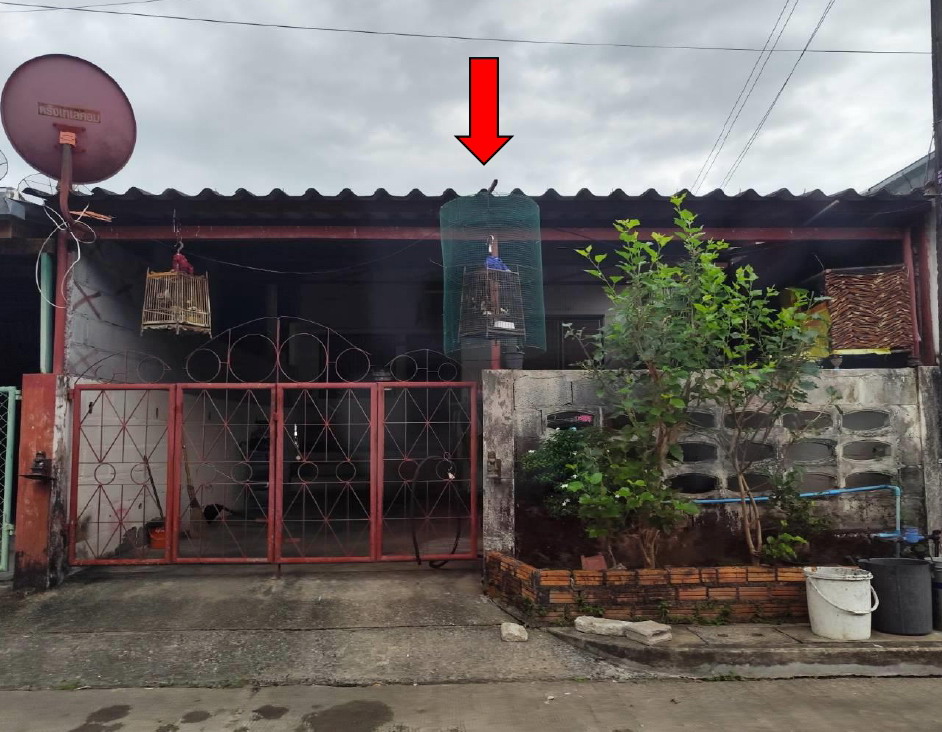 รูปที่ดินพร้อมสิ่งปลูกสร้าง ควนธานี กันตัง ตรัง