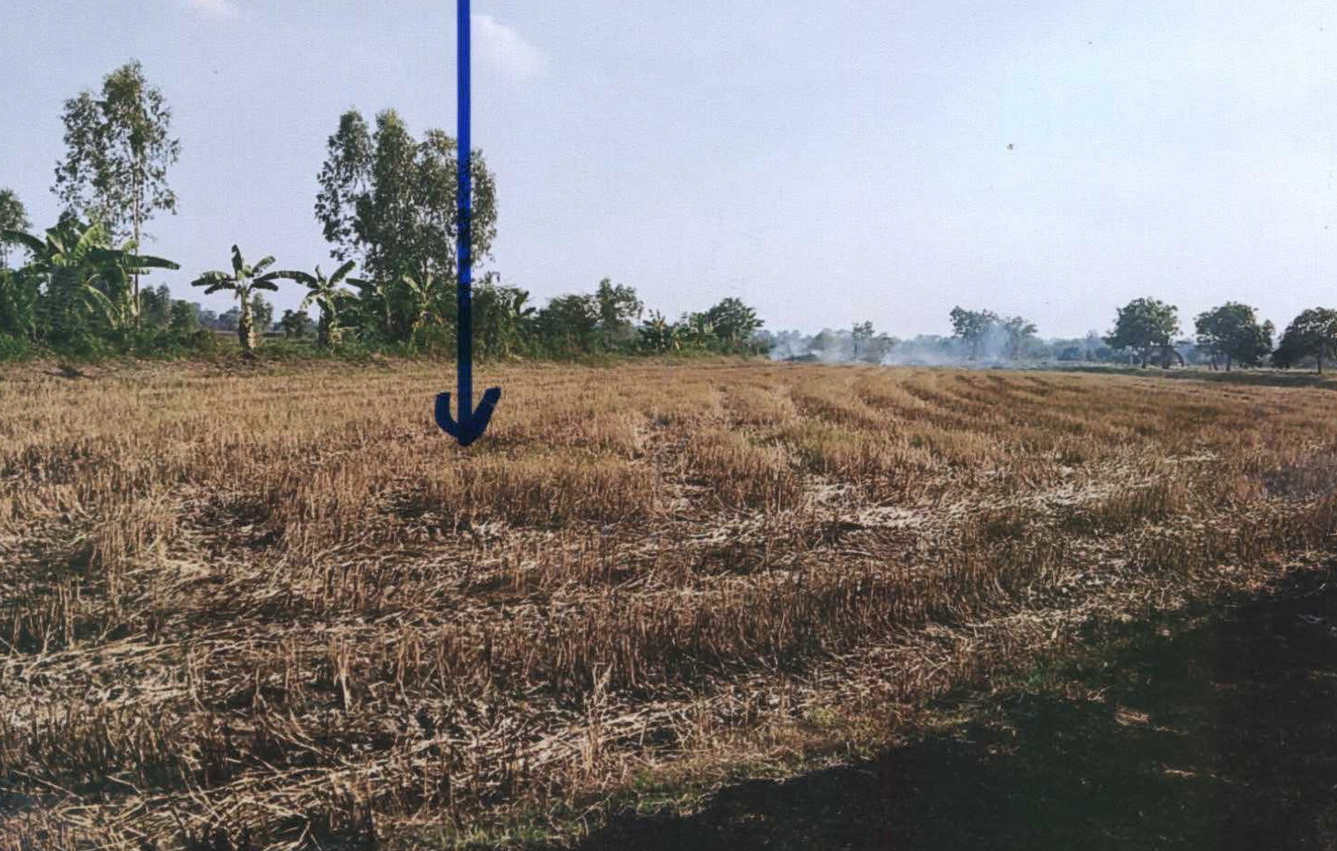 รูปที่ดินว่างเปล่า ม่วง มหาชนะชัย ยโสธร