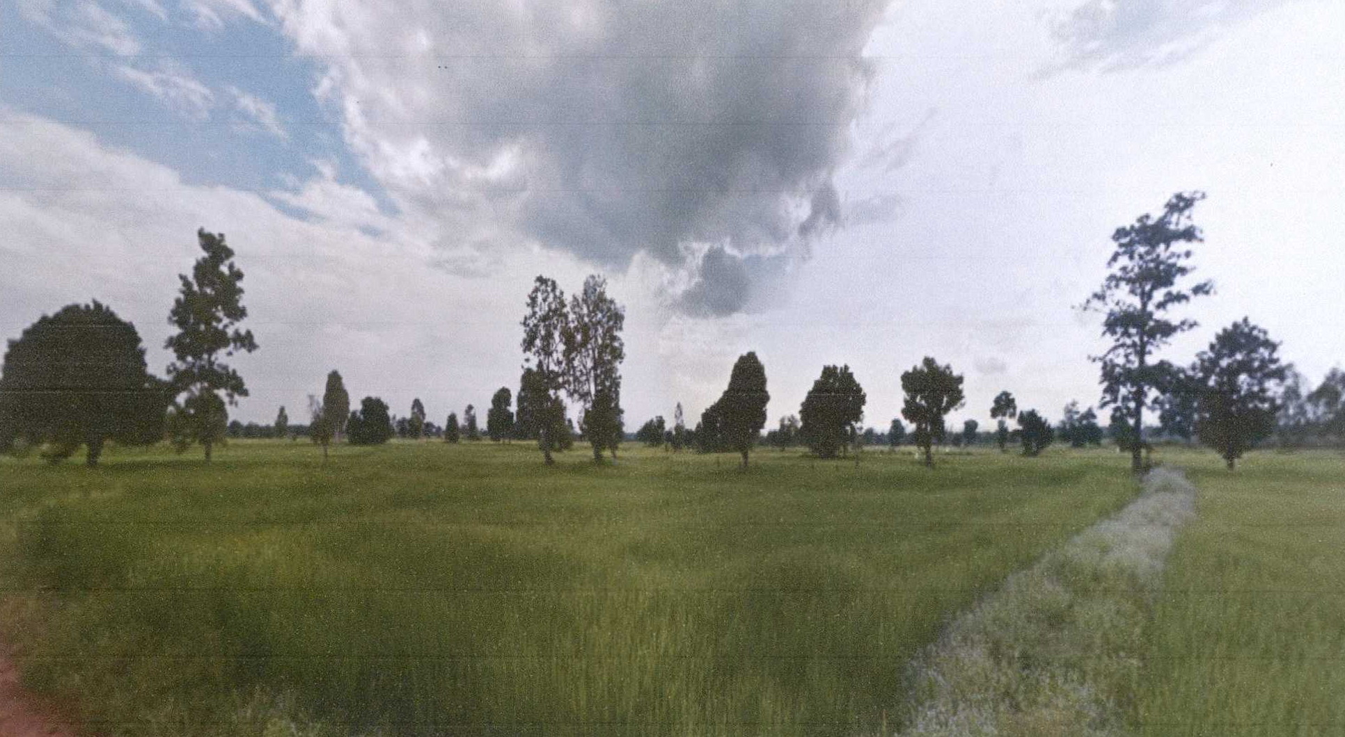 รูปที่ดินว่างเปล่า ท่าสองคอน เมืองมหาสารคาม มหาสารคาม