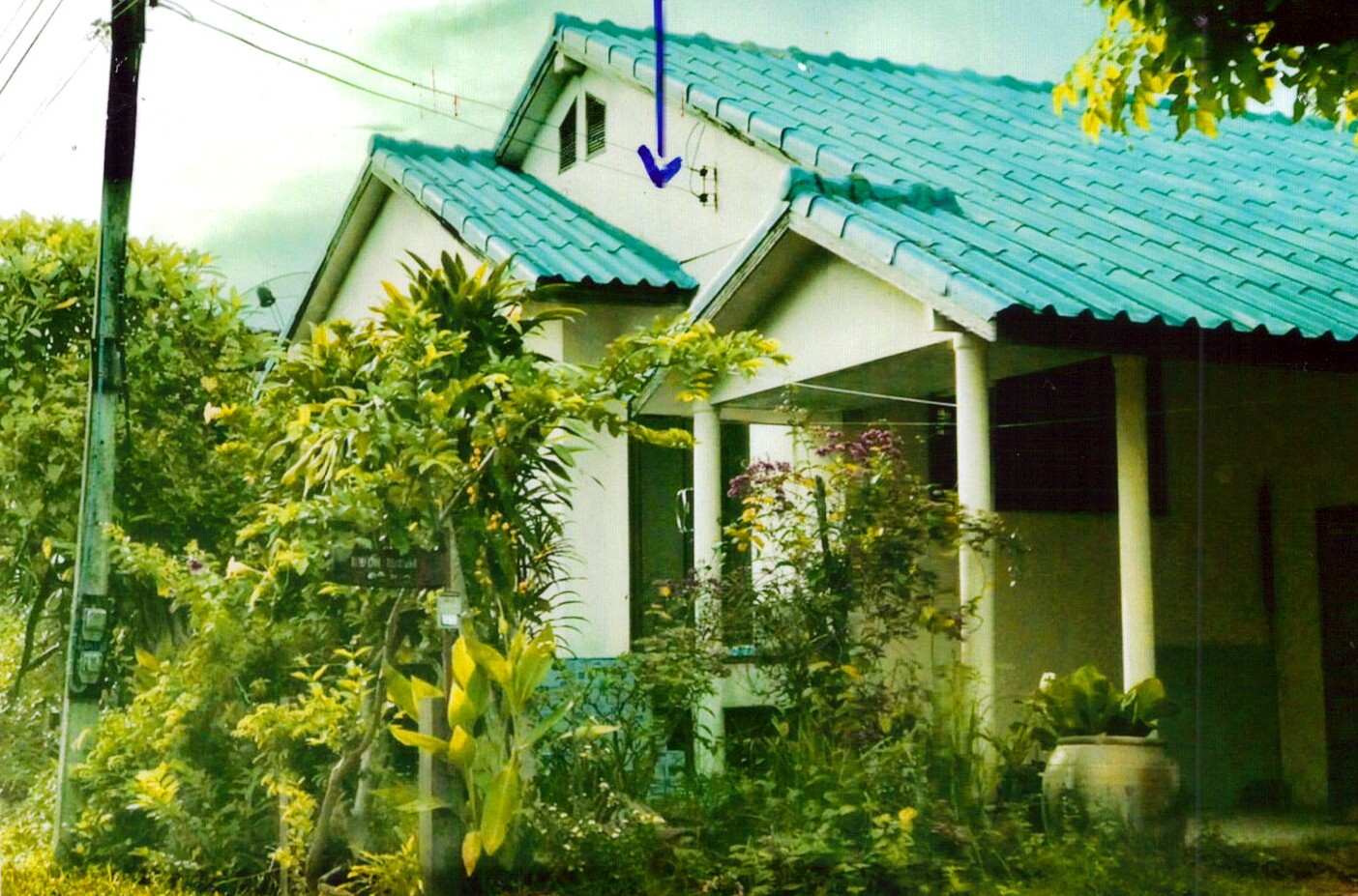 รูปที่ดินพร้อมสิ่งปลูกสร้าง บ้านไทร ปราสาท สุรินทร์