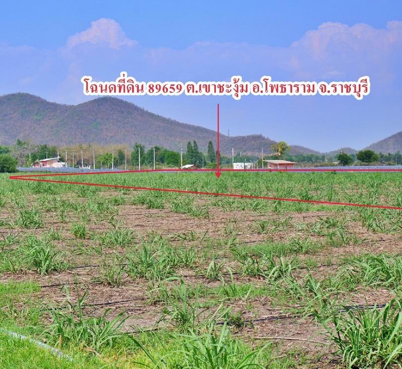รูปที่ดินว่างเปล่า เขาชะงุ้ม โพธาราม ราชบุรี