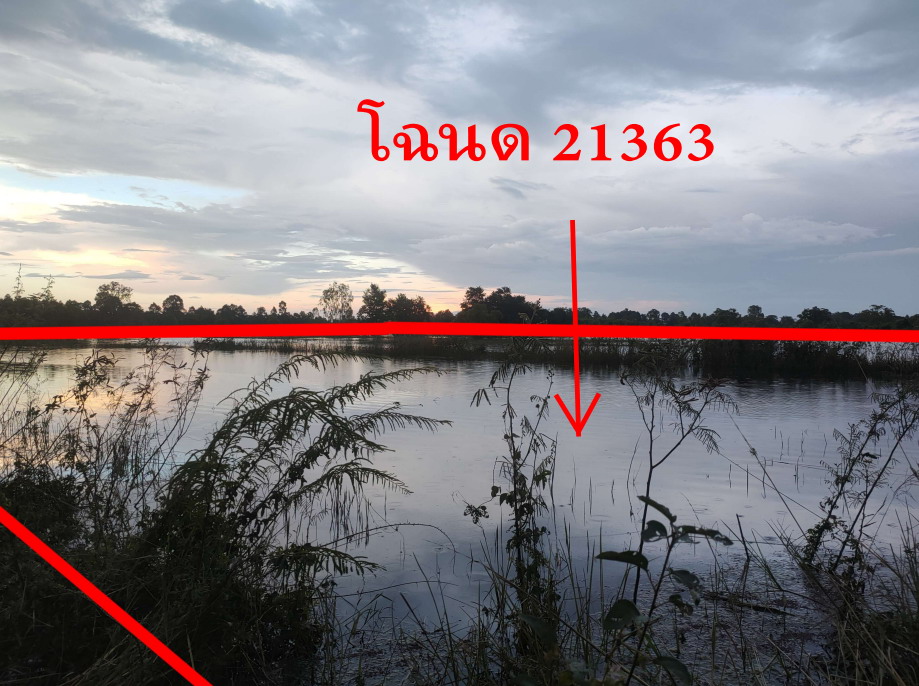 รูปที่ดินว่างเปล่า เหล่าแดง ดอนมดแดง อุบลราชธานี