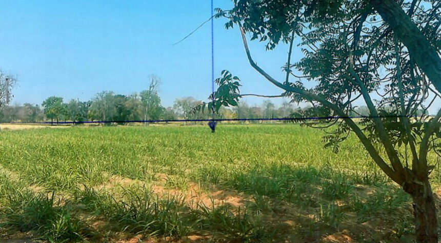 รูปที่ดินว่างเปล่า บ้านแปรง ด่านขุนทด นครราชสีมา