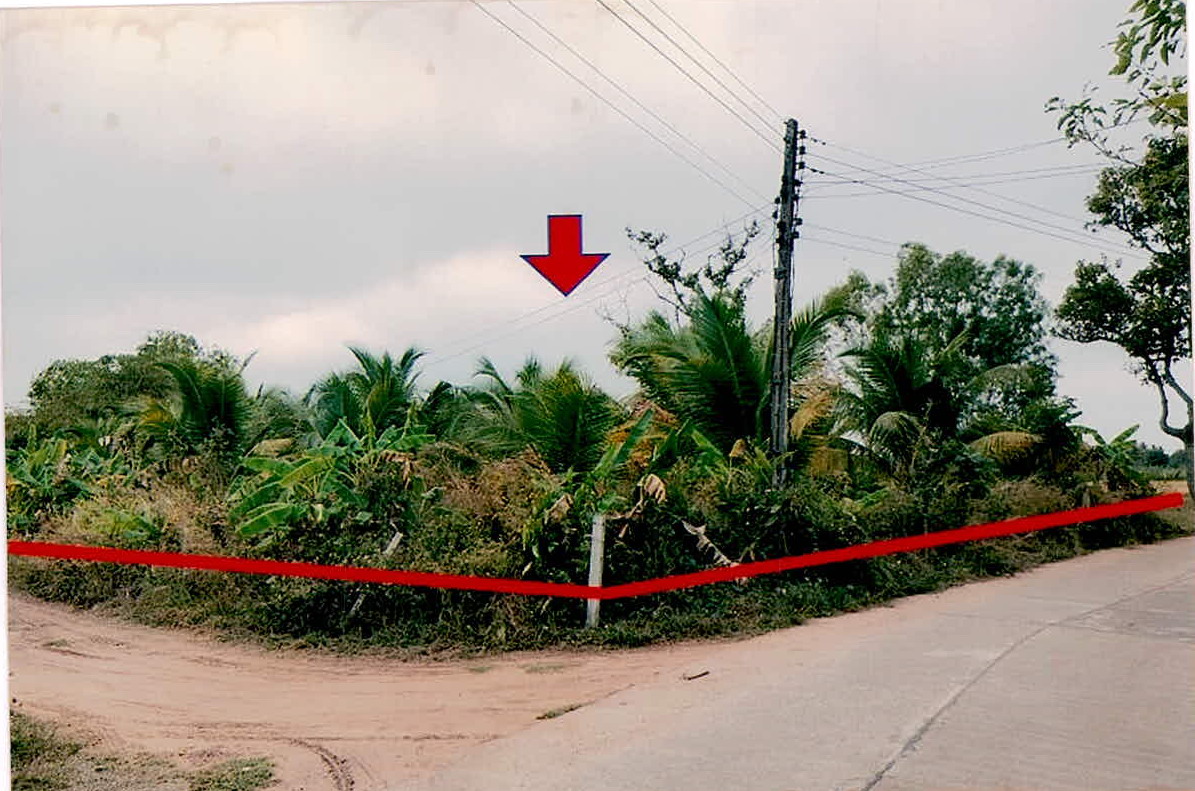 รูปที่ดินว่างเปล่า บึงบอน ยางชุมน้อย ศรีสะเกษ