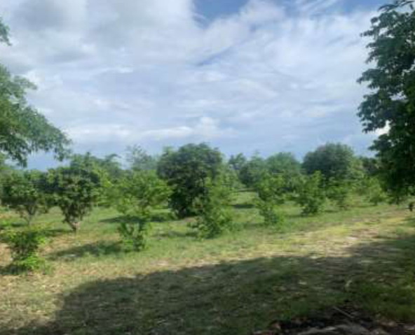 รูปที่ดินว่างเปล่า เขาขลุง บ้านโป่ง ราชบุรี
