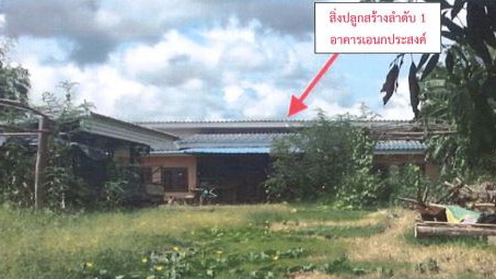 รูปที่ดินพร้อมสิ่งปลูกสร้าง แม่อ้อ พาน เชียงราย
