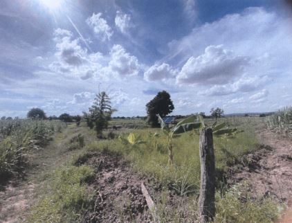 รูปที่ดินว่างเปล่า พังทุย น้ำพอง ขอนแก่น