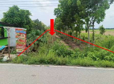 รูปที่ดินว่างเปล่า ศรีภิรมย์ พรหมพิราม พิษณุโลก
