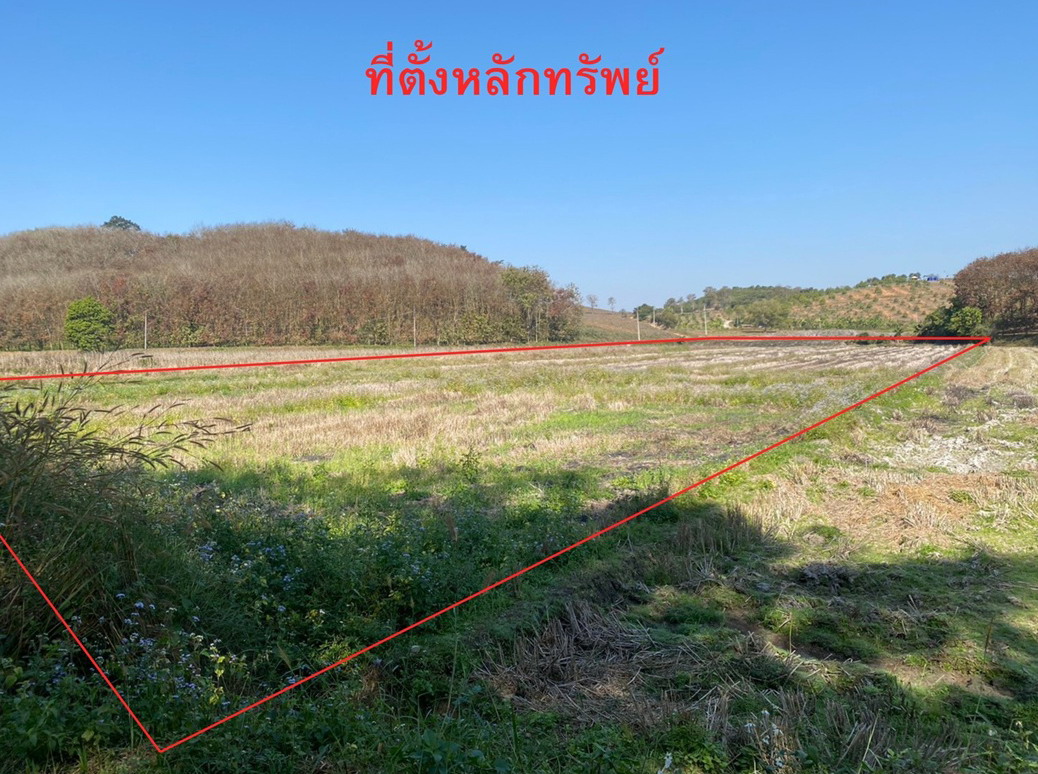 รูปที่ดินว่างเปล่า ท่าข้าวเปลือก แม่จัน เชียงราย