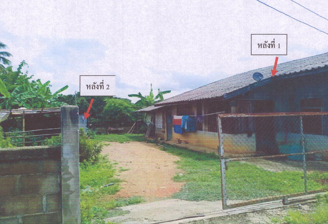 รูปที่ดินพร้อมสิ่งปลูกสร้าง ท่าก๊อ แม่สรวย เชียงราย