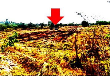 รูปที่ดินว่างเปล่า ขามเปี้ย โพธิ์ชัย ร้อยเอ็ด