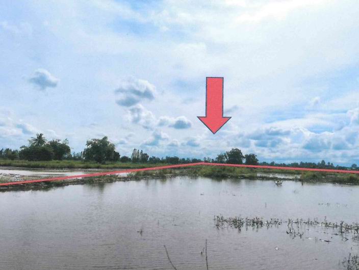 รูปที่ดินว่างเปล่า โค้งไผ่ ขาณุวรลักษบุรี กำแพงเพชร