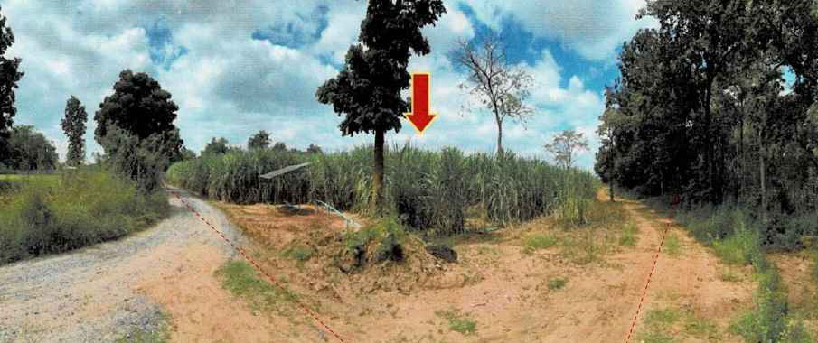 รูปที่ดินว่างเปล่า บ้านแปรง ด่านขุนทด นครราชสีมา