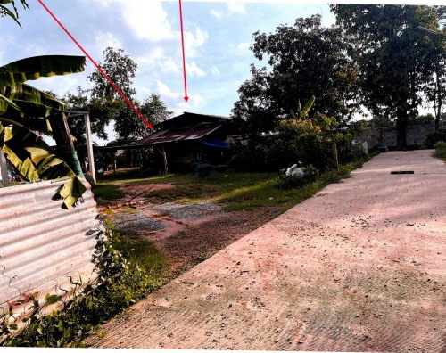 รูปที่ดินพร้อมสิ่งปลูกสร้าง บ้านกร่าง เมืองพิษณุโลก พิษณุโลก
