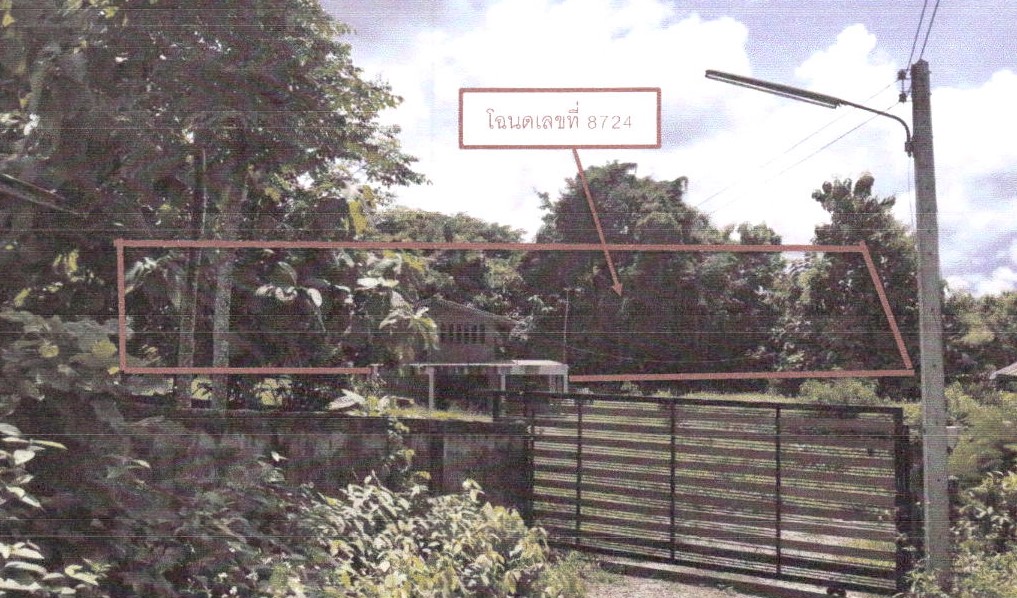 รูปที่ดินว่างเปล่า บ้านปิน ลอง แพร่
