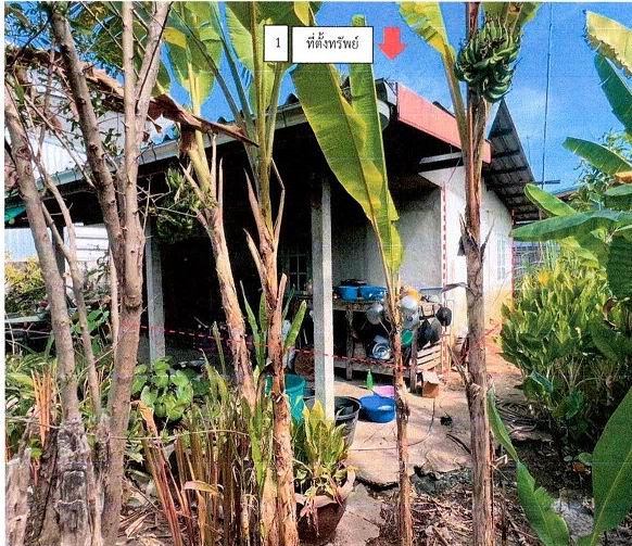 รูปที่ดินพร้อมสิ่งปลูกสร้าง ระแงง ศีขรภูมิ สุรินทร์