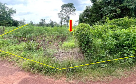 รูปที่ดินว่างเปล่า โคกสว่าง ปลาปาก นครพนม
