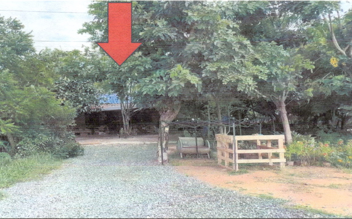 รูปที่ดินพร้อมสิ่งปลูกสร้าง บ้านเพชร บำเหน็จณรงค์ ชัยภูมิ