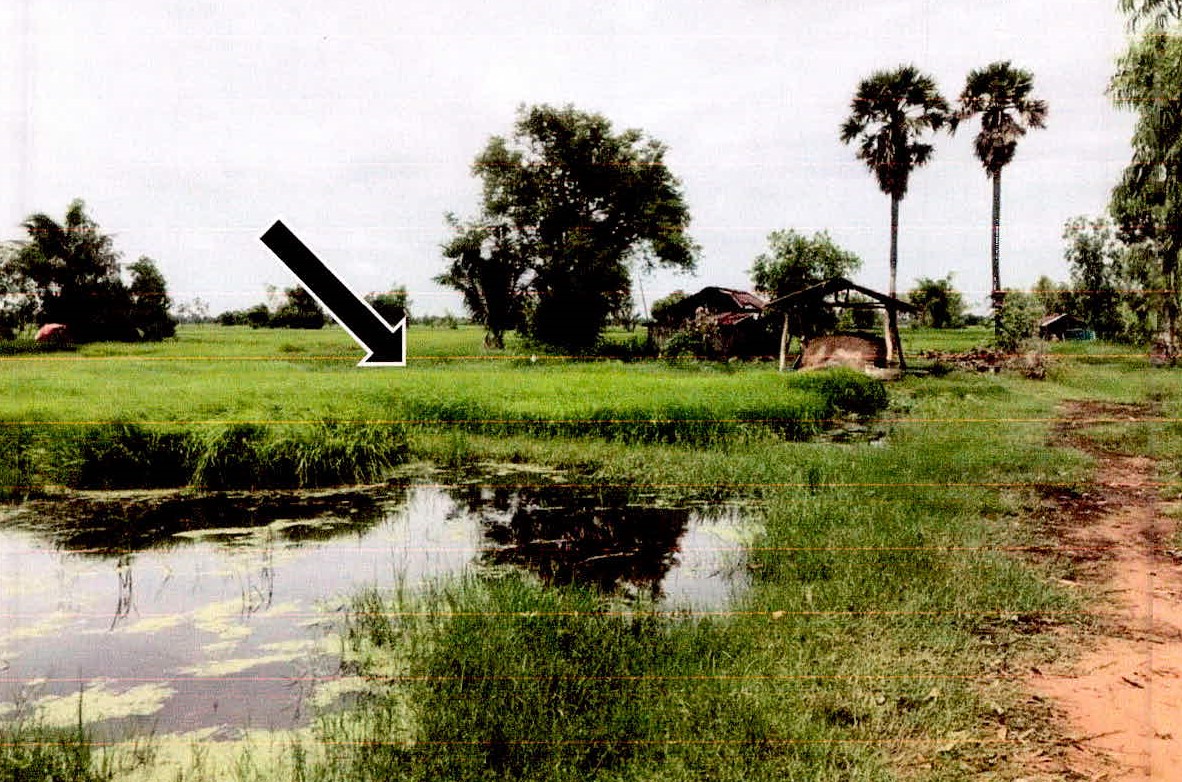 รูปที่ดินว่างเปล่า หว้านคำ ราษีไศล ศรีสะเกษ