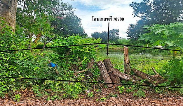 รูปที่ดินว่างเปล่า ท่าช้าง พรหมพิราม พิษณุโลก