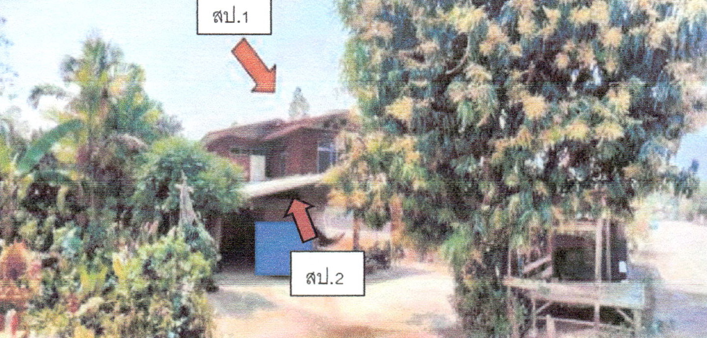 รูปที่ดินพร้อมสิ่งปลูกสร้าง เขาหลวง วังสะพุง เลย