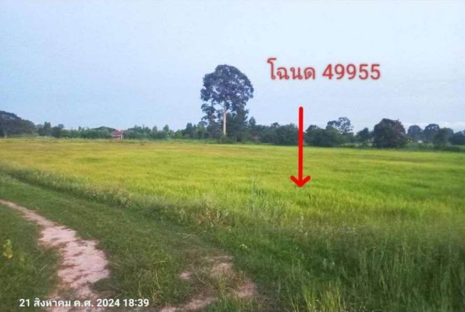 รูปที่ดินว่างเปล่า ขอนแก่น เมืองร้อยเอ็ด ร้อยเอ็ด
