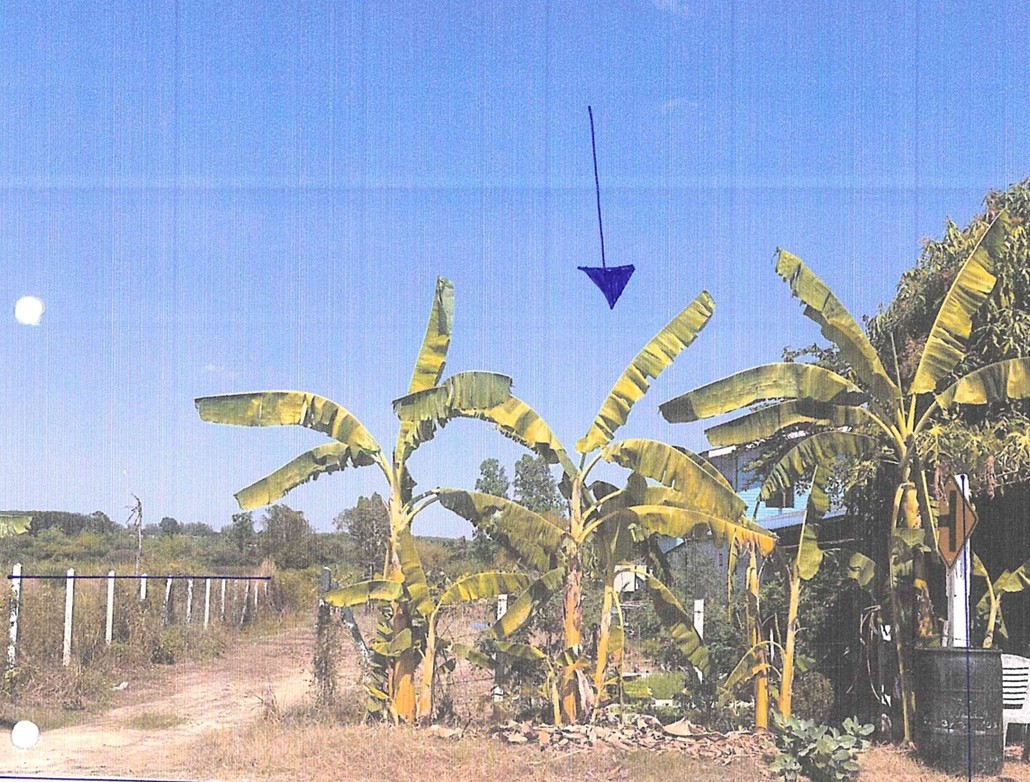 รูปที่ดินว่างเปล่า พนานิคม นิคมพัฒนา ระยอง