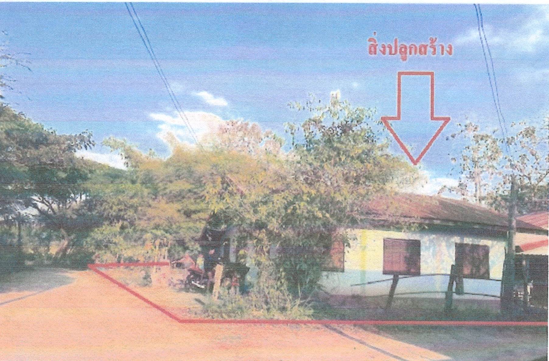 รูปที่ดินพร้อมสิ่งปลูกสร้าง โคกขมิ้น วังสะพุง เลย