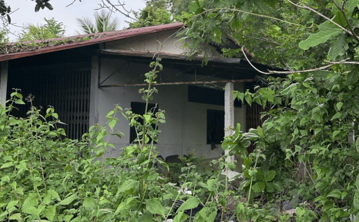 รูปที่ดินพร้อมสิ่งปลูกสร้าง กระโสบ เมืองอุบลราชธานี อุบลราชธานี