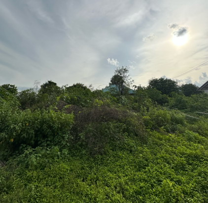 รูปที่ดินว่างเปล่า ปทุม เมืองอุบลราชธานี อุบลราชธานี