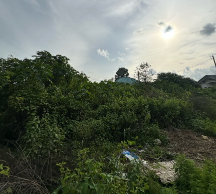 รูปที่ดินว่างเปล่า ปทุม เมืองอุบลราชธานี อุบลราชธานี