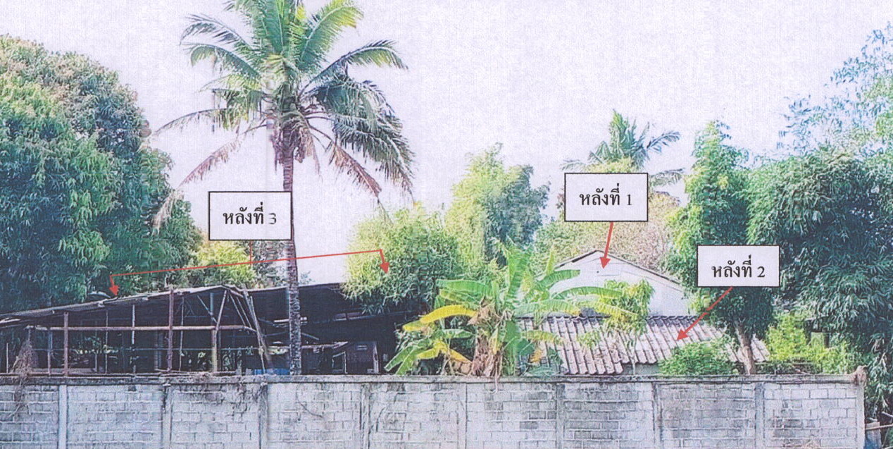 รูปที่ดินพร้อมสิ่งปลูกสร้าง แม่เจดีย์ใหม่ เวียงป่าเป้า เชียงราย